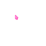 Pequeno Pointer-de-rosa brilhante bonito