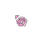 Pink Rose de la flor