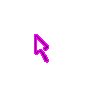 Neon Purple Pointer
