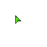 Small Neon Green Pointer