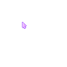 Small Cute Purple Pointer