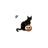 Black Cat With Pumpkin