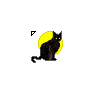Black Cat Behind Moon