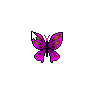 Flapping Purple Butterfly