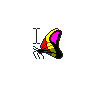 Multi-Colored Butterfly