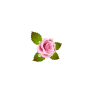 Elegant Rose - Move