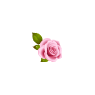 Elegant Rose Set