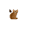 Brown Cat