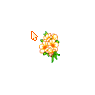 Bouquet Of Orange Flowers