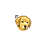 Golden Retrieval Dog