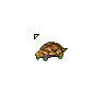 Animated Turtle