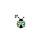Green Lady Bug
