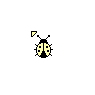 Yellow Lady Bug
