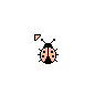 Tan Lady Bug
