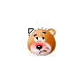 Grumpy Chewing Bear