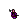 Chimpanzee 3