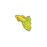 Guppy Fish