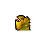 Boyd\'s Forest Dragon Lizard
