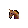 Saddlebred Horse