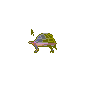Tortoise 2