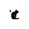 Pretty Black Cat