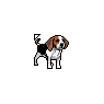 Beagle Dog 2
