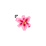 Flower 59