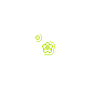 Cute Lime Spinning Flower