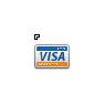 Visa Credit Card 2