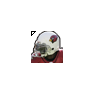 Edgerrin James - Arizona Cardinals 2