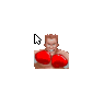 Boxing Boxer 2