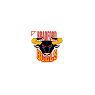 Bradford Bulls - Engage Super League Rugby