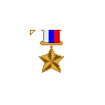 Gold Star Medal