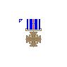 The Distinguished Flying Cross Medal